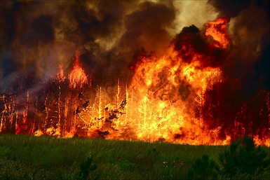 В Оренбуржье сохраняется чрезвычайная пожарная опасность
